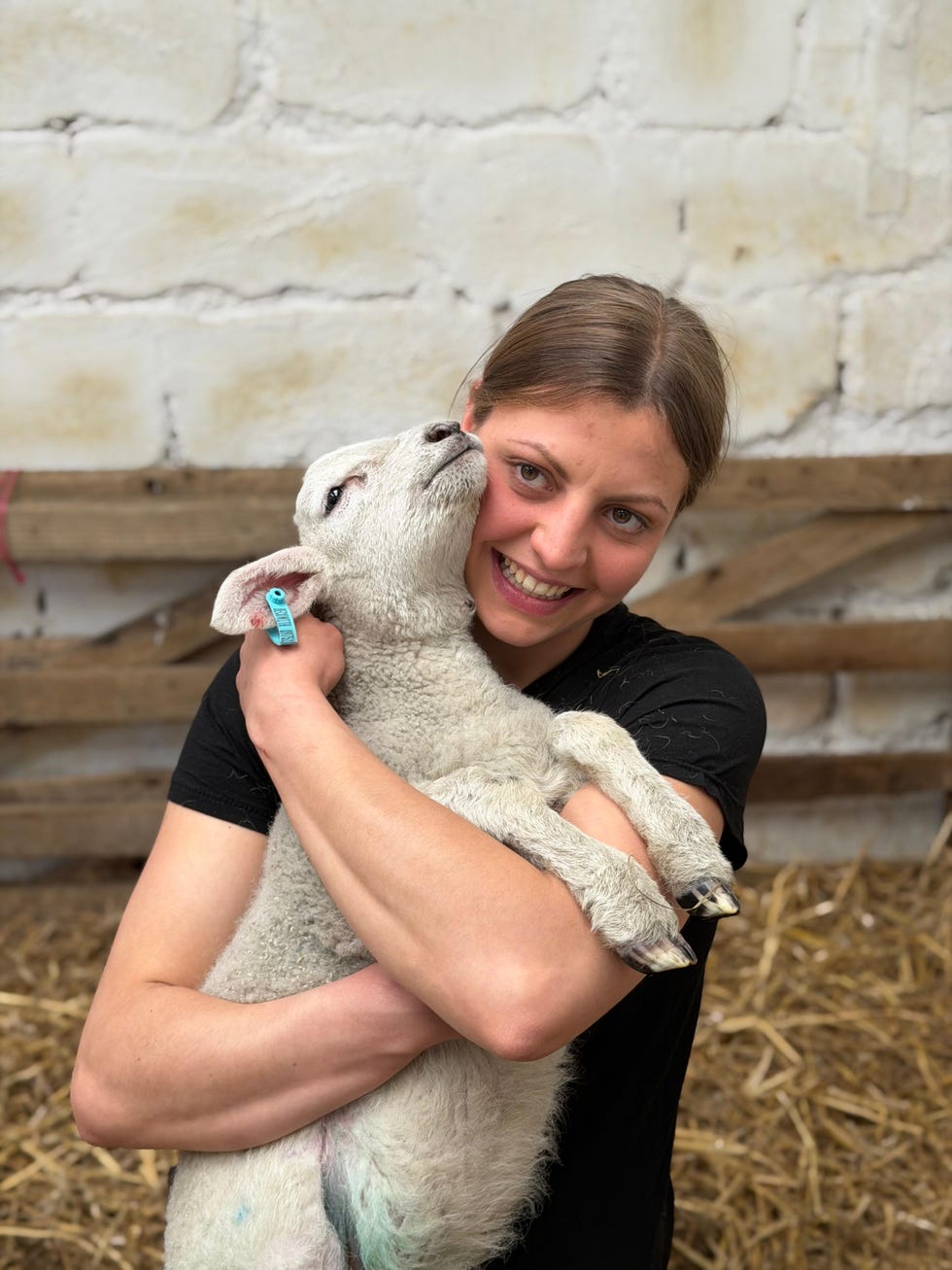 jessica ellwood + lamb