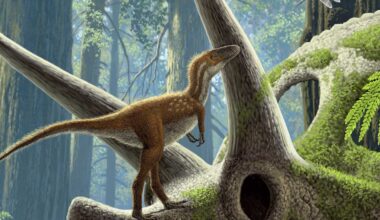 T. Rex Babies Were No Bigger Than House Cats—But Already Deadly
