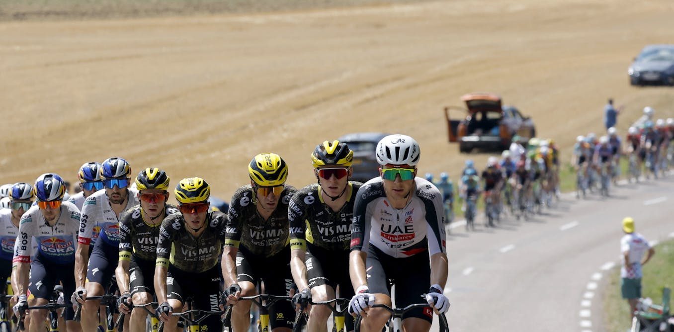Domestiques, sprinters and climbers: who’s who in the Tour de France peloton (and why it matters)