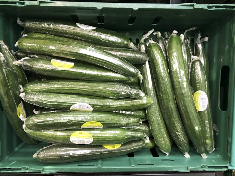 cucumbers in supermarket box