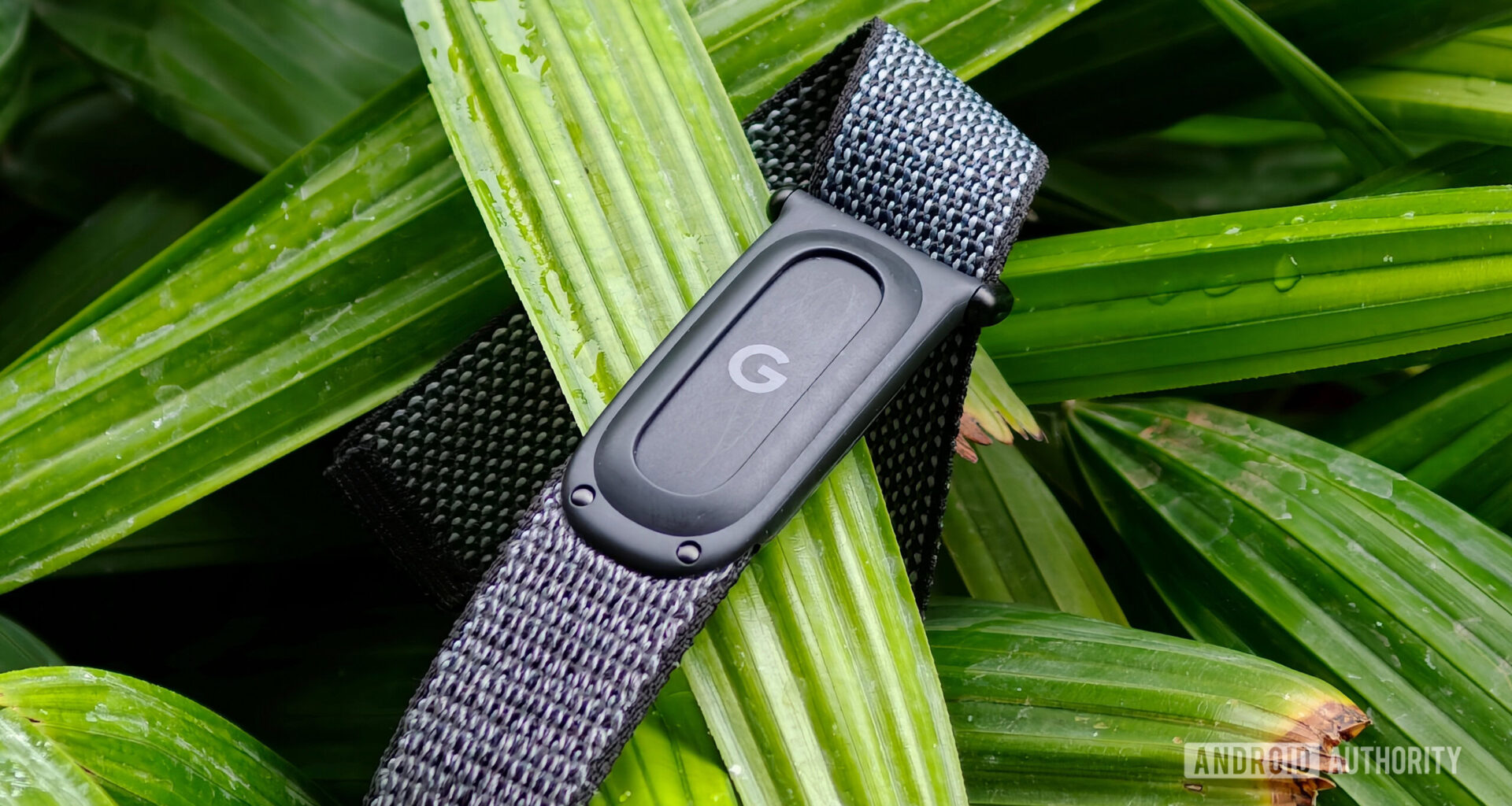 Fitbit Air band untied sitting on a green plant