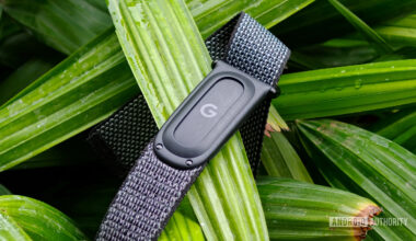 Fitbit Air band untied sitting on a green plant