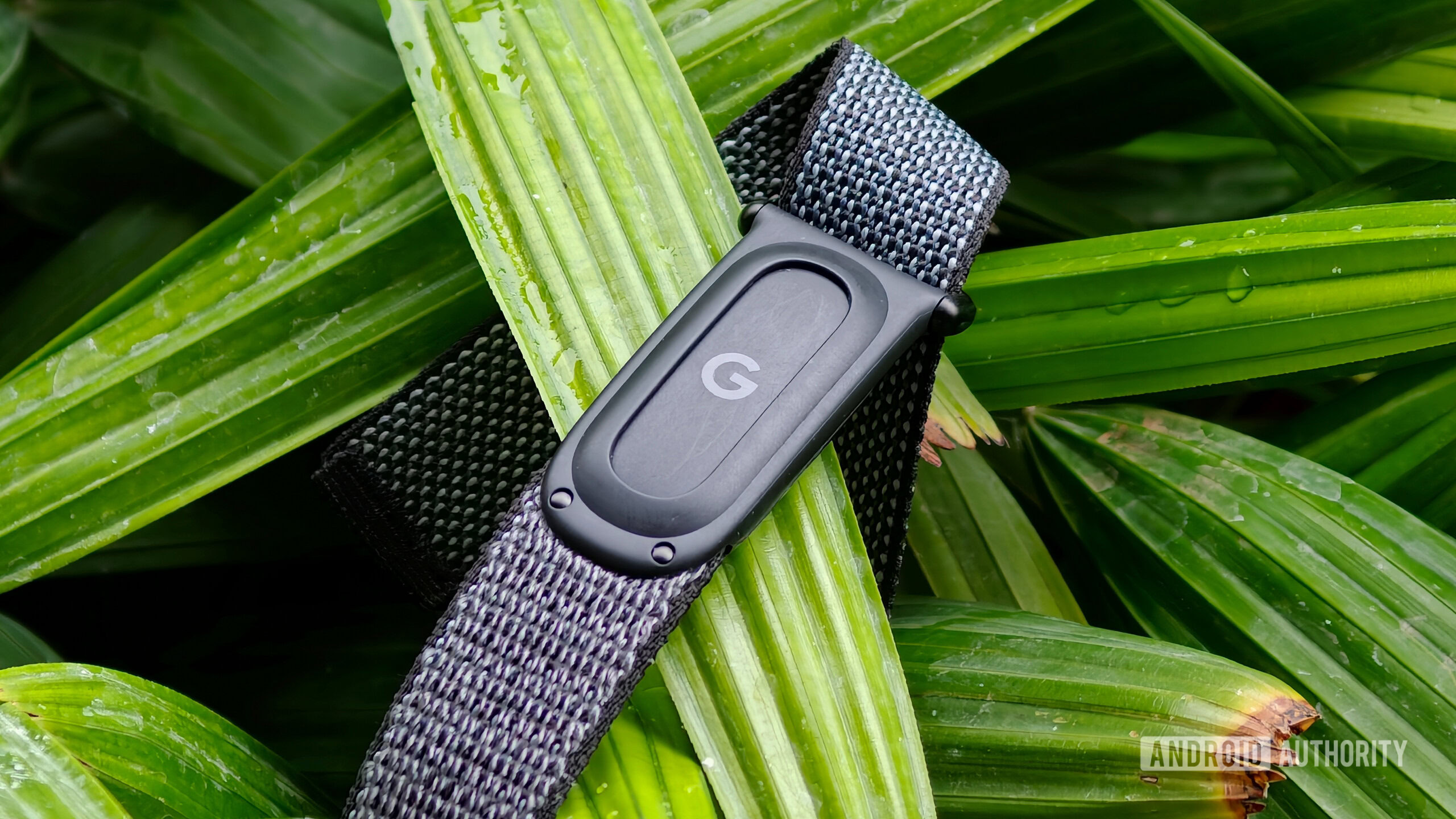 fitbit air open Fitbit Air band untied sitting on a green plant