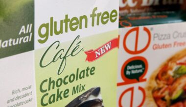 Nation's largest gluten-free food festival comes to Oaks, Pa.