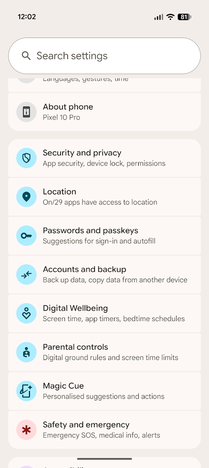 google pixel settings home page