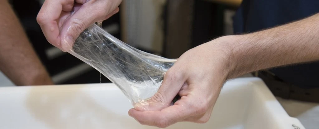 Bees Make Silk, And It Could Be The Biodegradable Material We've Been Waiting For