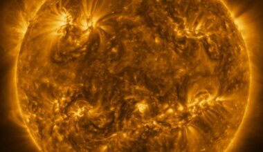 Unprecedented picture of the sun just captured by stellar spacecraft
