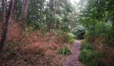 Flooding fears sparked by works to boost wildlife in York | YorkMix