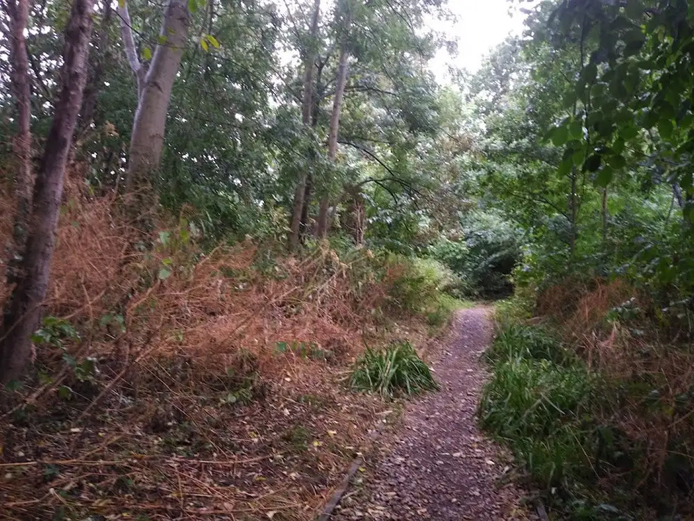 Flooding fears sparked by works to boost wildlife in York | YorkMix