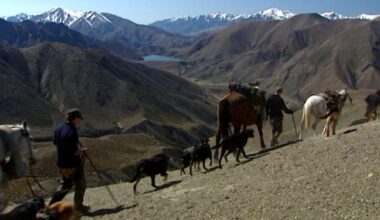 New preferred operator chosen for New Zealand's largest farm