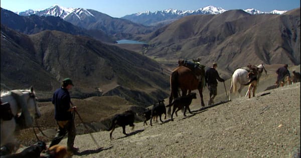 New preferred operator chosen for New Zealand's largest farm