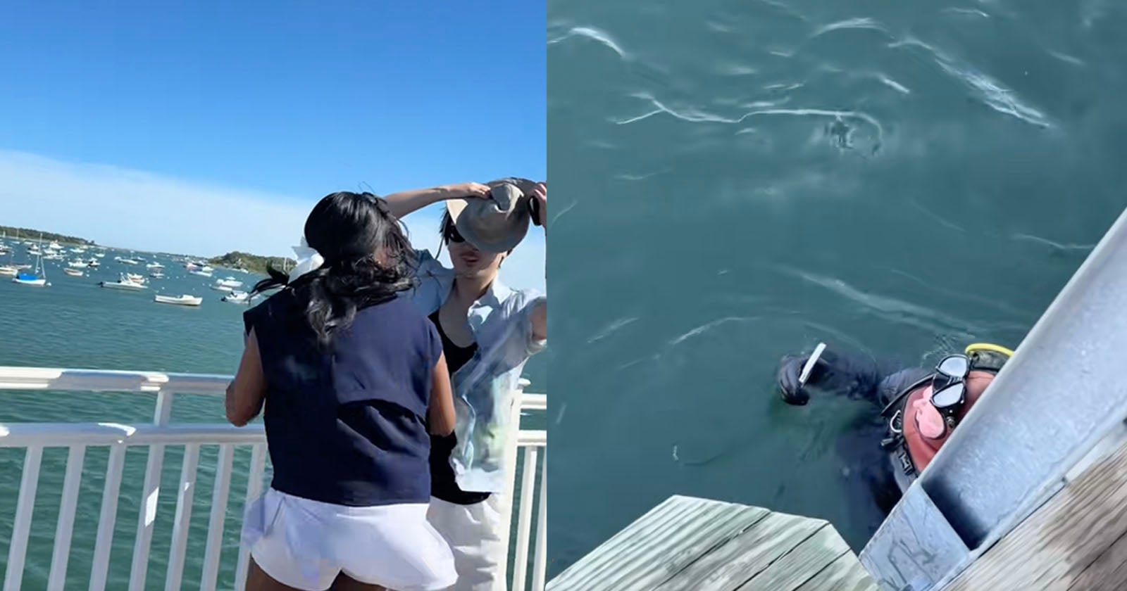 A woman knocks a hat off a man on a dock over water; on the right, a diver in the water holds the hat near the dock.
