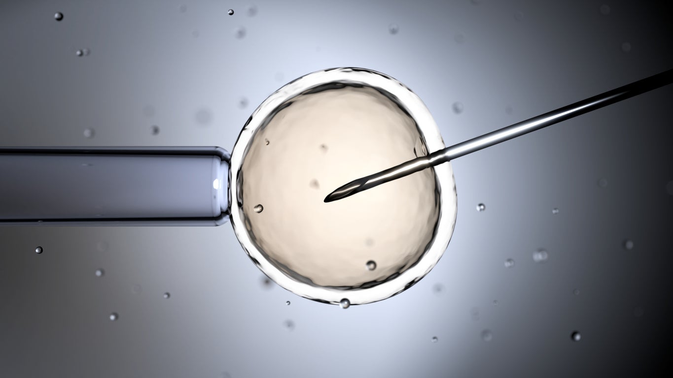IVF births now account for roughly one child in every UK classroom