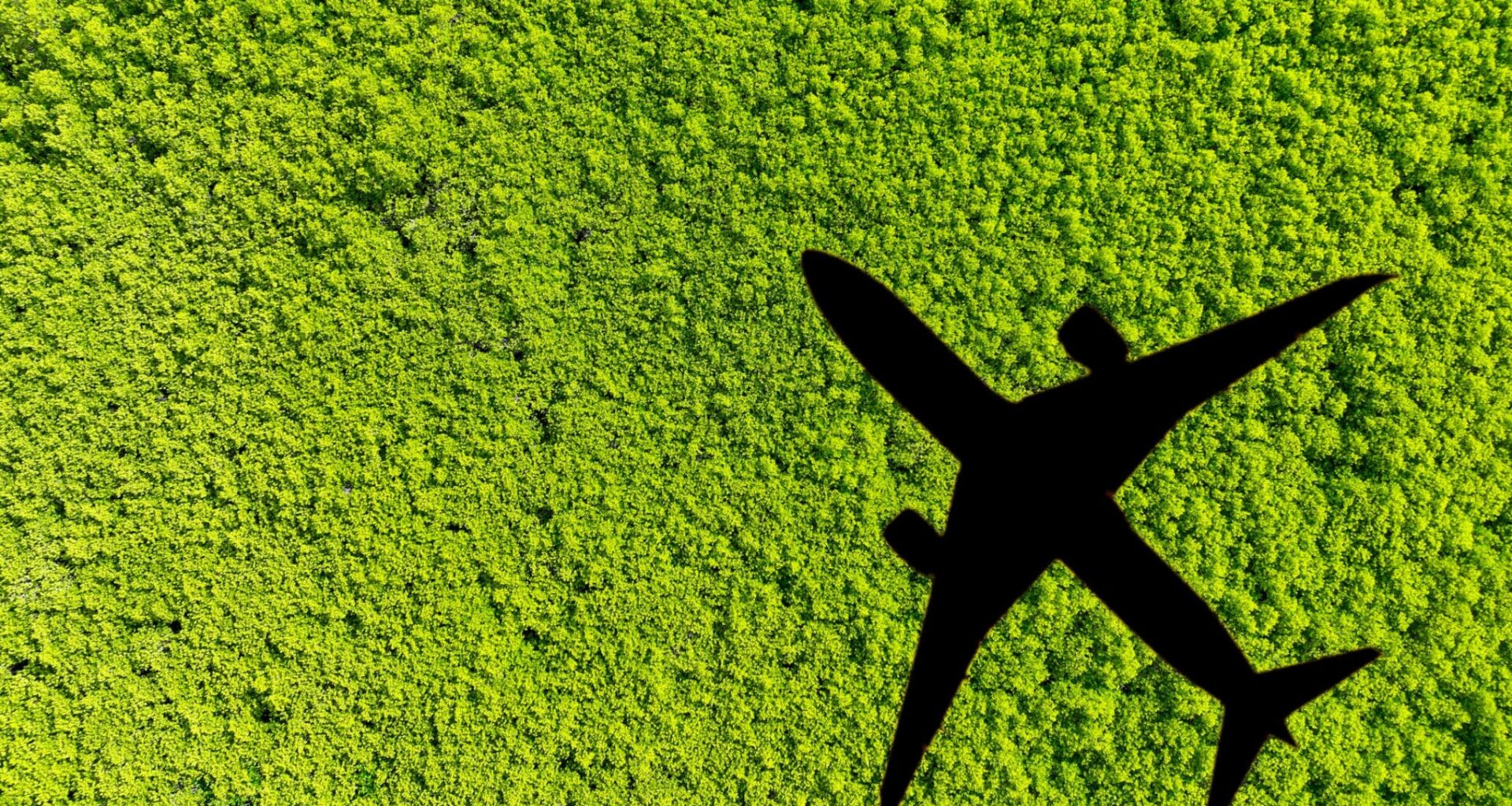 Shadow airplane flying above green mangrove forest. Sustainable fuel. Use biofuel in aviation for sustainable transportation. Reduction carbon emissions. Eco-friendly flight. Aviation sustainability.