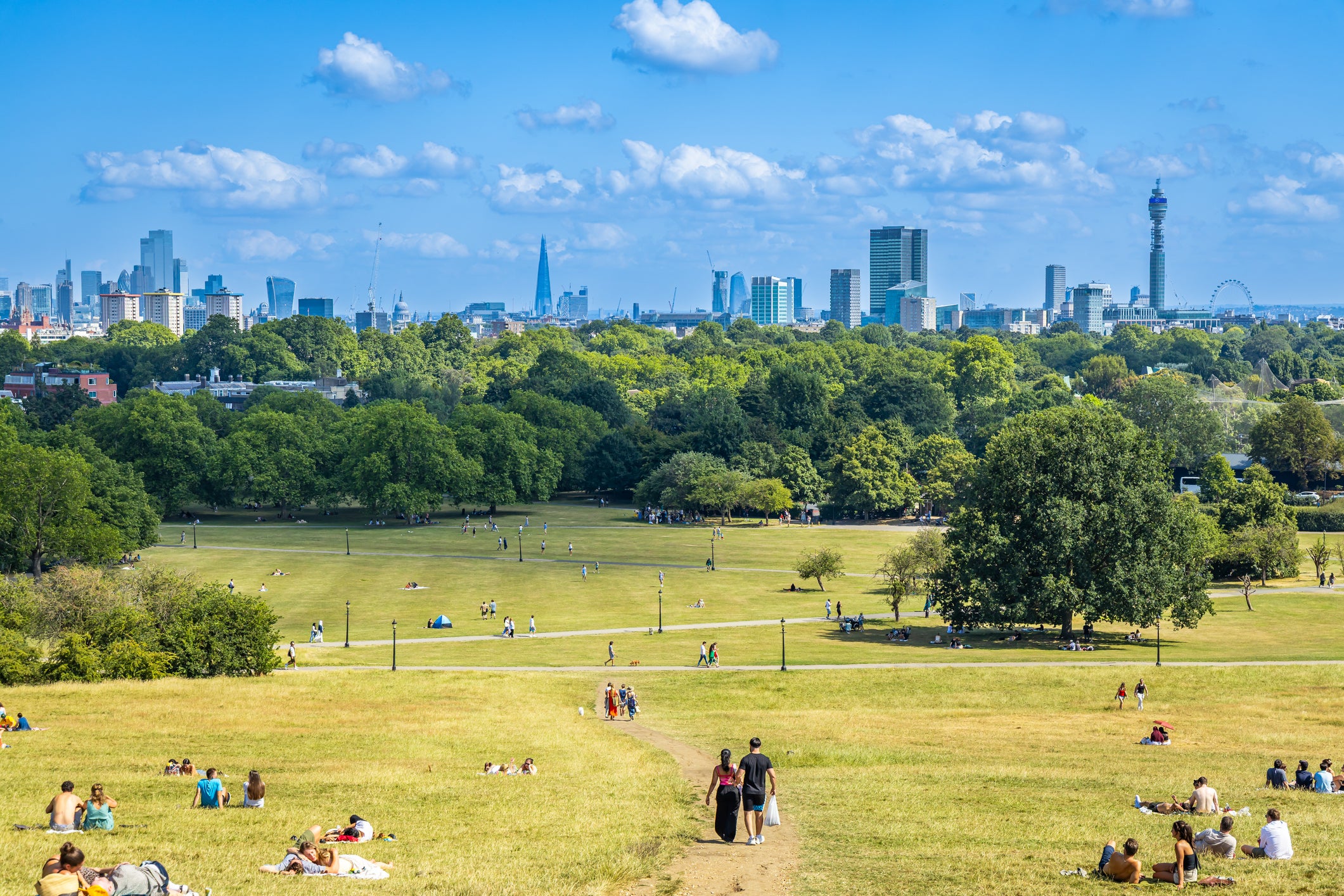 Primrose Hill is a well-placed vantage point