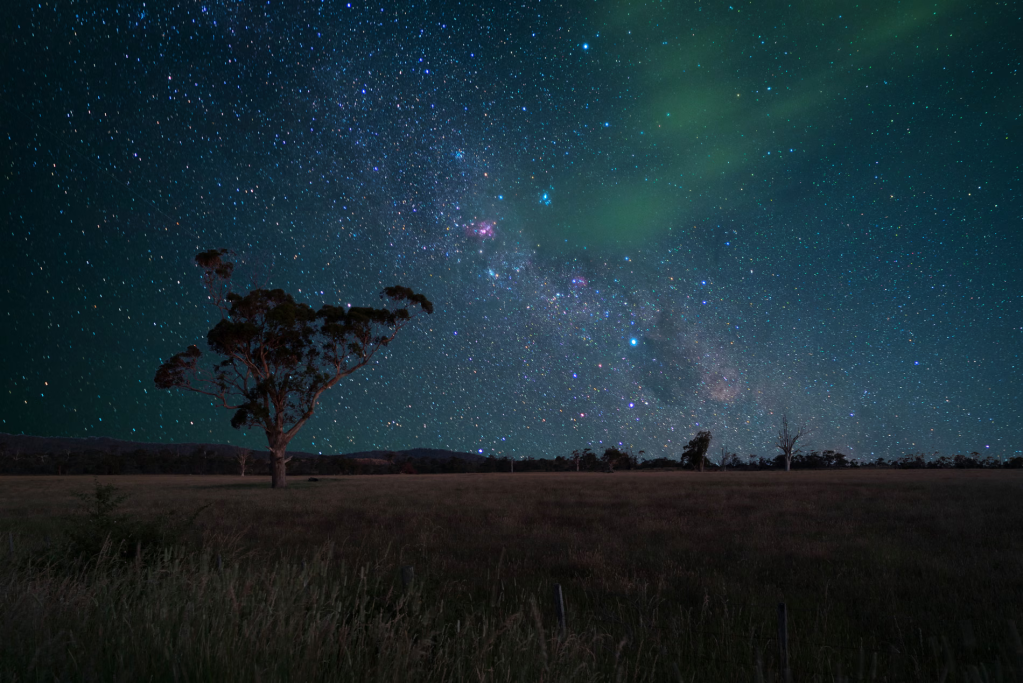 Highly commended, junior category: Tassi Tree with Milky Way Widefield, Charlie Marzolla, David Malin Awards 2025 