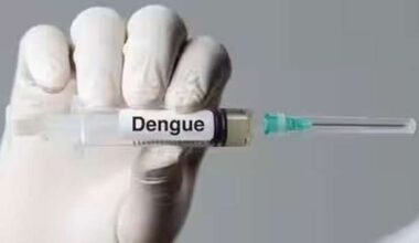 India approves its first dengue vaccine QDENGA after DCGI clearance - Breaking News