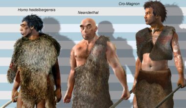 224,000-Year-Old Homo Skull Fragment Adds New Mystery to Human Origins