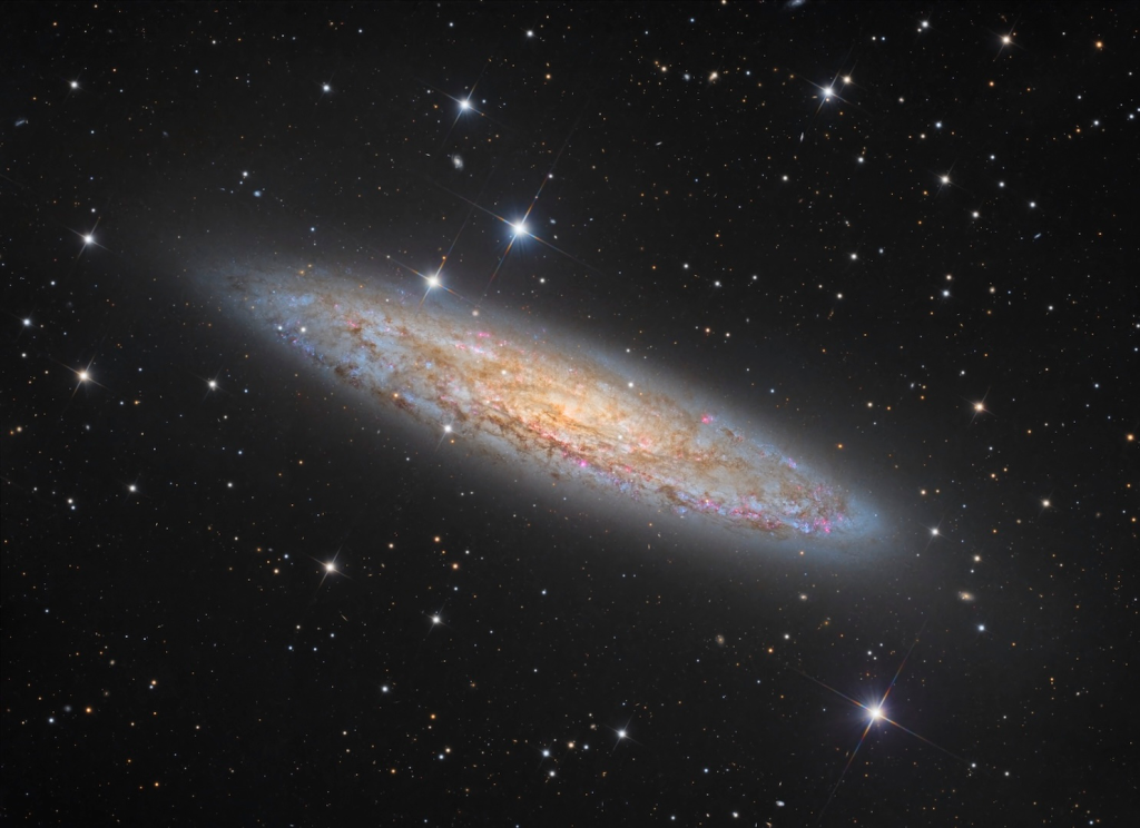 "Another Day, Another Dollar", Paul Montague, Honorable Mention, Deep Sky Category, David Malin Awards 2026