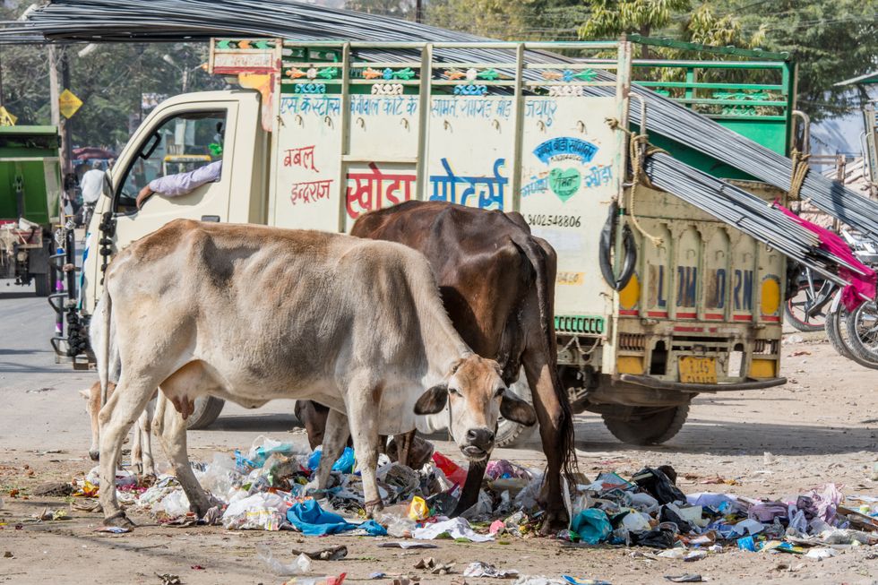 Indian street