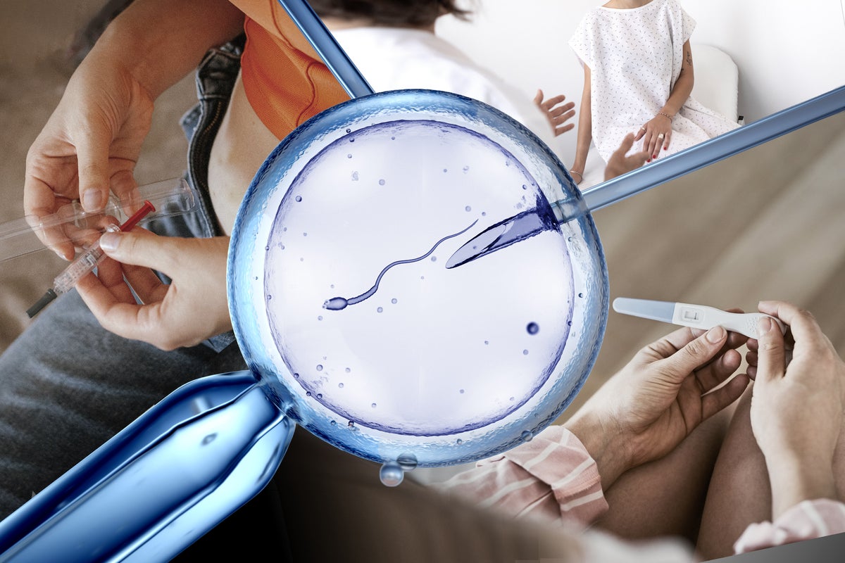 Amid the panic about the birth rate crisis, access to IVF is being quietly decimated