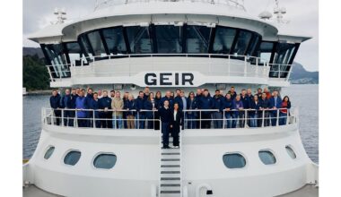 From sea to fryer: why provenance is becoming one of the fish and chip sector's strongest tools | Norwegian Seafood Council