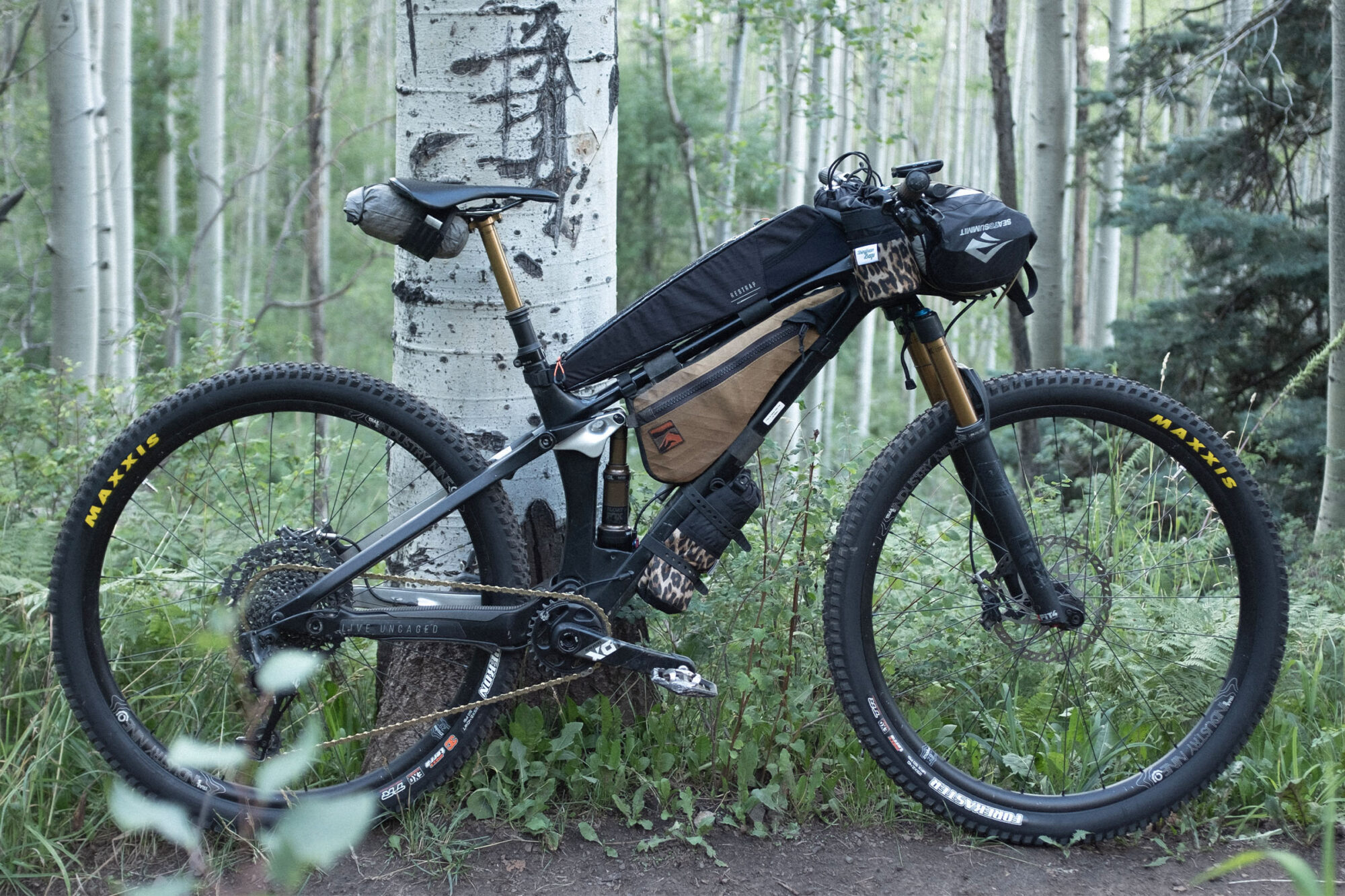 2026 colorado trail race rigs