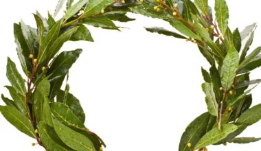 The Hidden Cost of Resting on Your Laurels