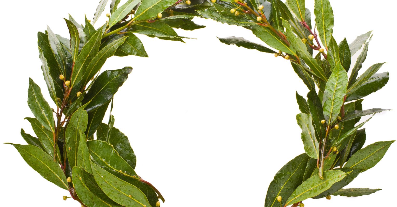 The Hidden Cost of Resting on Your Laurels