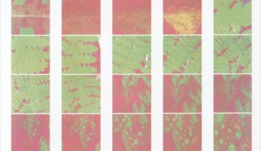 Valeria Homayden turns microscopic observations into mesmerising Risograph animations
