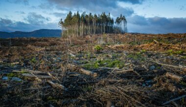 How to Grieve a Changing Planet