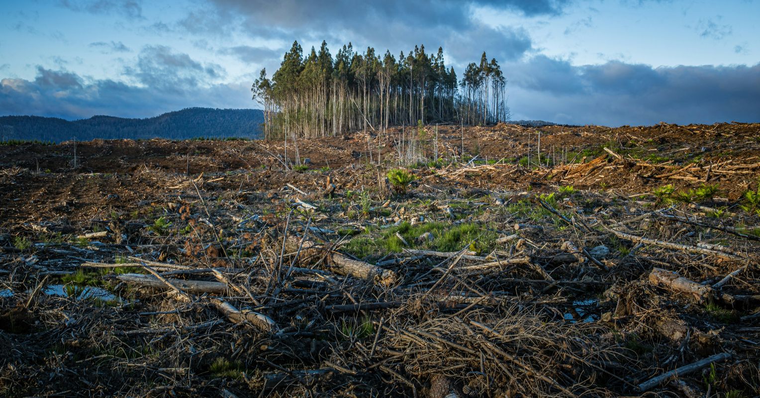 How to Grieve a Changing Planet