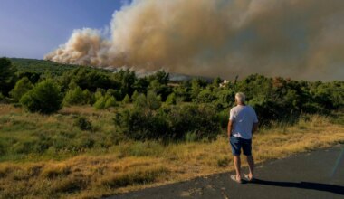 France Wildfires, Europe Heatwave: France Sees Worst Wildfire Season Since Record 2022 Blazes