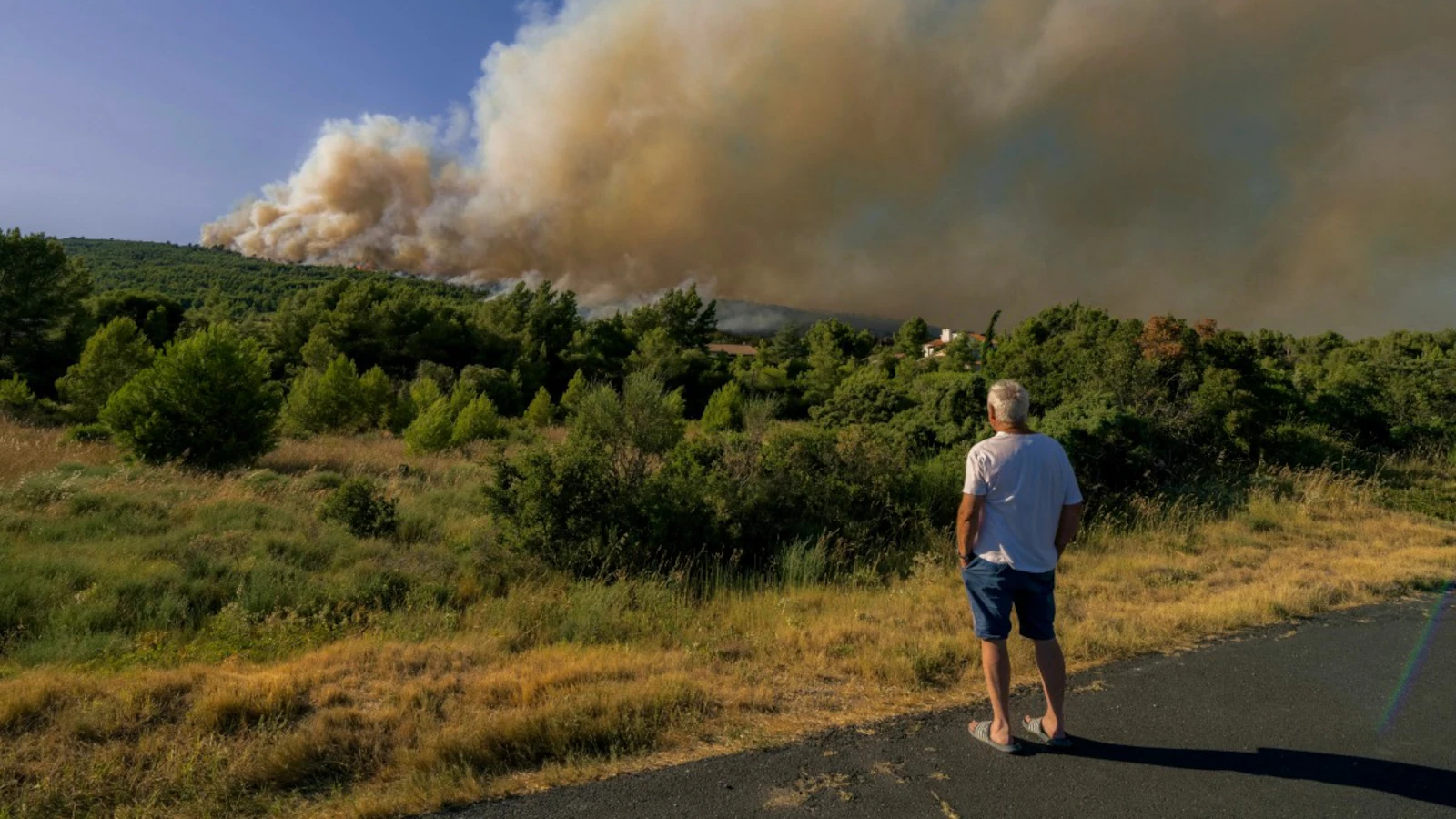 France Wildfires, Europe Heatwave: France Sees Worst Wildfire Season Since Record 2022 Blazes