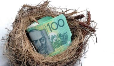 A wad of $100 bills of Australian currency lies stashed in a bird's nest.