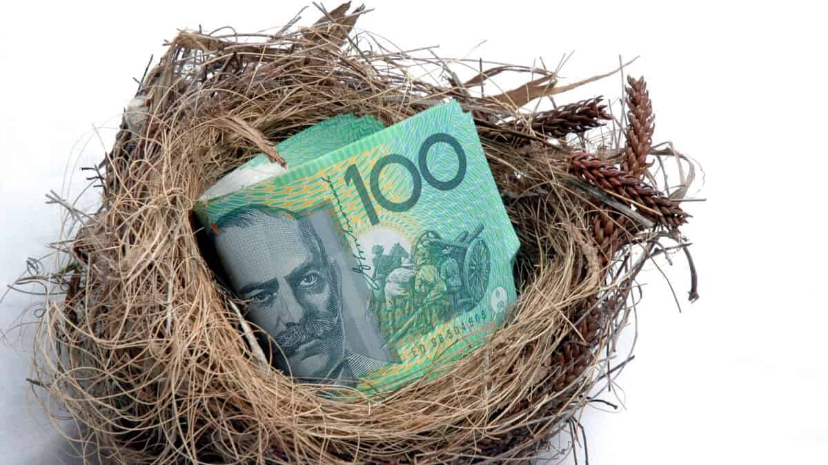 A wad of $100 bills of Australian currency lies stashed in a bird's nest.
