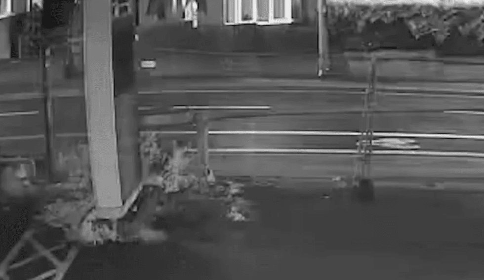New video footage reveals moment Vickrum Digwa tells his mother to take knife away after stabbing Henry Nowak