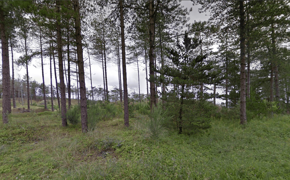 Newborough Forest nature reserve
