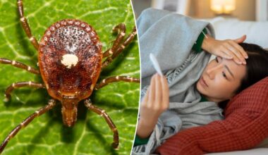 First case of potentially fatal Bourbon virus confirmed in New York