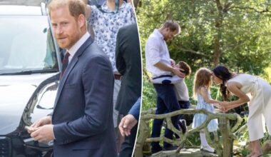 King Charles’ meeting with Harry, grandchildren up in the air