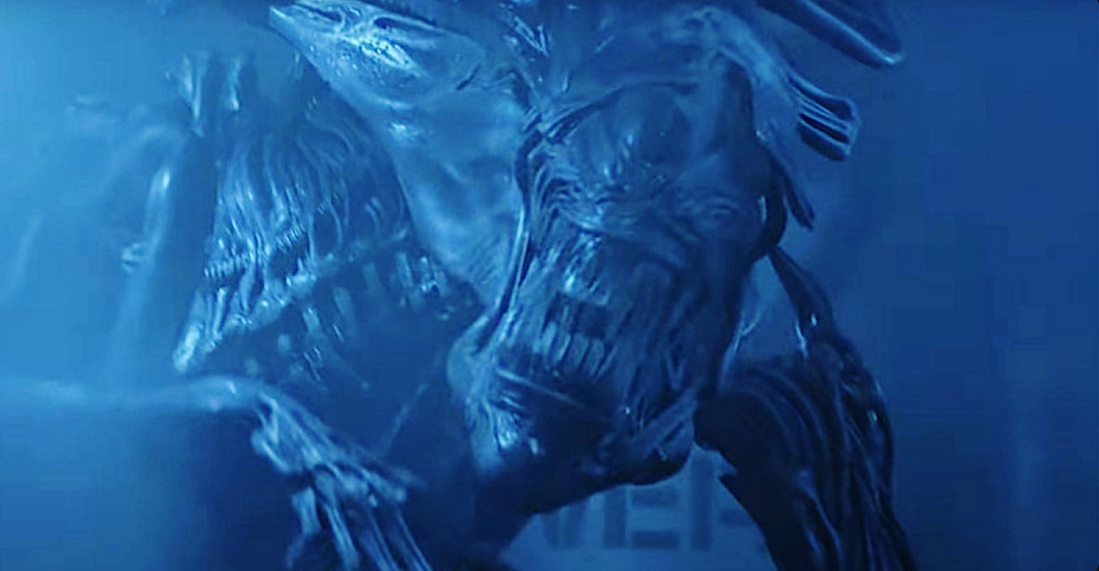 a toothy alien monster from a sci-fi film