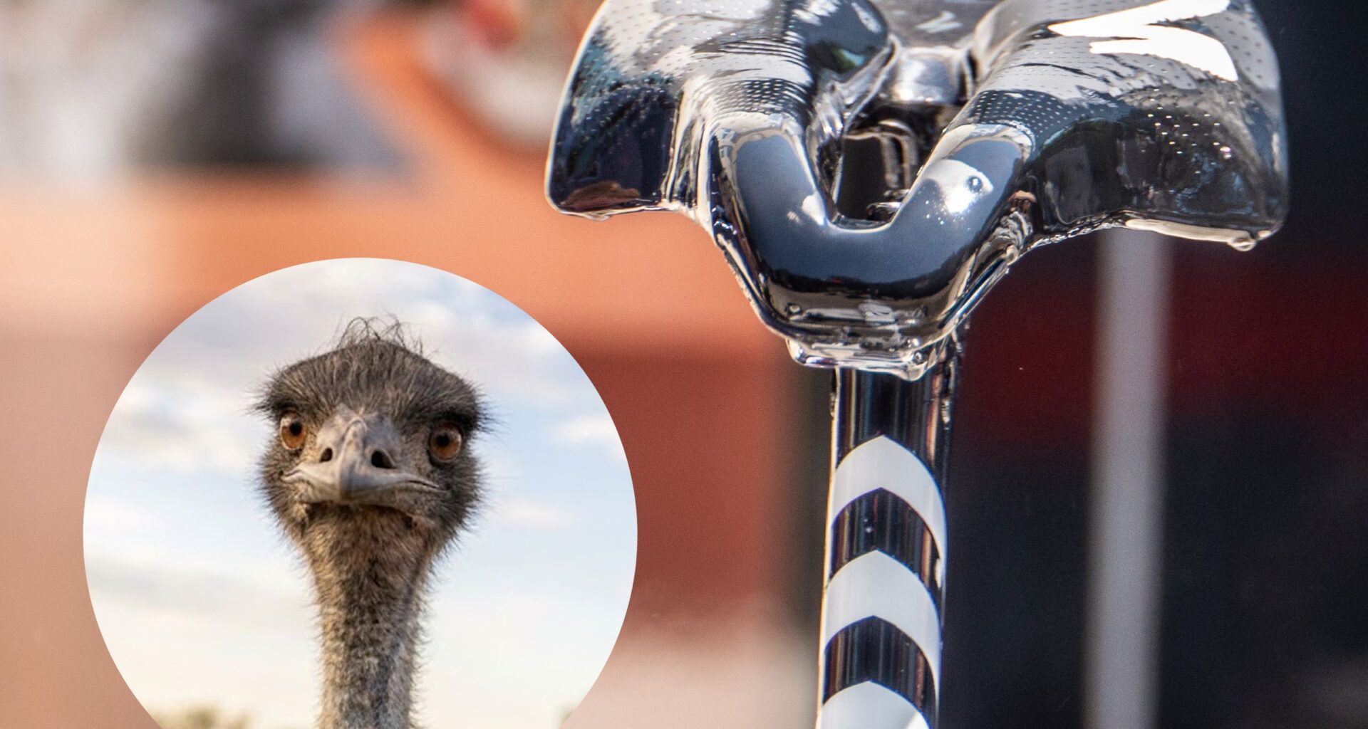 Tour de France seatpost / saddle looking like an emu