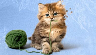 AI has ruined cute animal videos