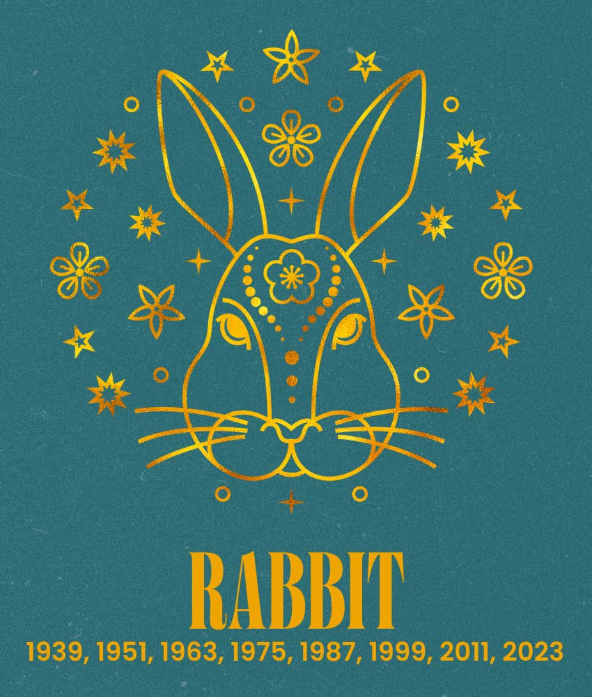 rabbit chinese zodiac signs life better july 16, 2026