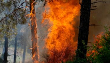 Europe’s heating climate sparks ‘major intensification’ of fires: Report | Climate News