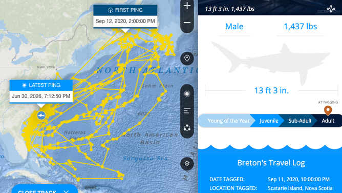 Breton's tracking throughout the North Atlantic.