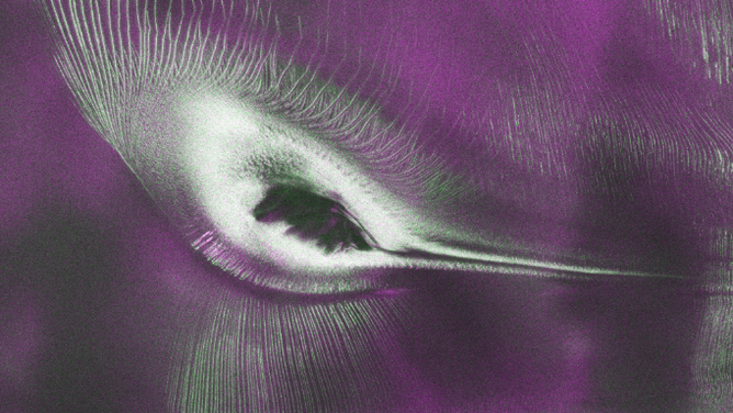 Hummingbird image revealed by NASA satellite in Antarctica.
