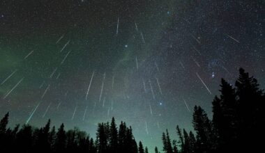 The Perseid meteor shower will return to UK skies this August with up to 150 shooting stars an hour and the best viewing conditions in years