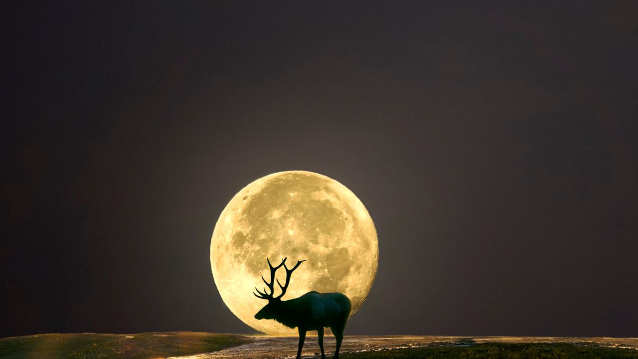 The full Buck Moon will be the most powerful of the year