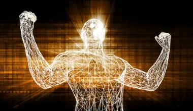 Scientists discover why exercise reverses muscle aging